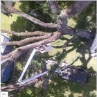 Windsor & Son Tree Service