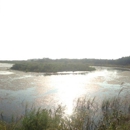 Cape May Bird Observatory - Nature Centers