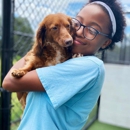 Pet Paradise - Hostels
