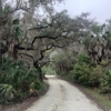 Lower Suwannee National Wildlife gallery