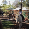 Apple Hill | High Hill Ranch gallery