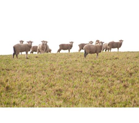 Agripath Pty Ltd - Tamworth, NSW
