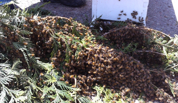 American Beekeeping - Wichita, KS