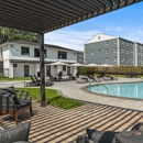 Chestnut Hill Village - Apartments