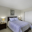 Campo Basso Apartment Homes - Apartments