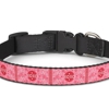Bad Dog Bandanas gallery