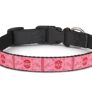 Bad Dog Bandanas - Pet Services