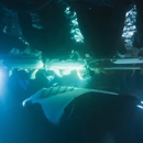 Sea Paradise Sailing and Snorkel Tours - Sightseeing Tours