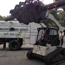 Georgetown Tree Services llc - Arborists