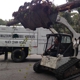 Georgetown Tree Services llc