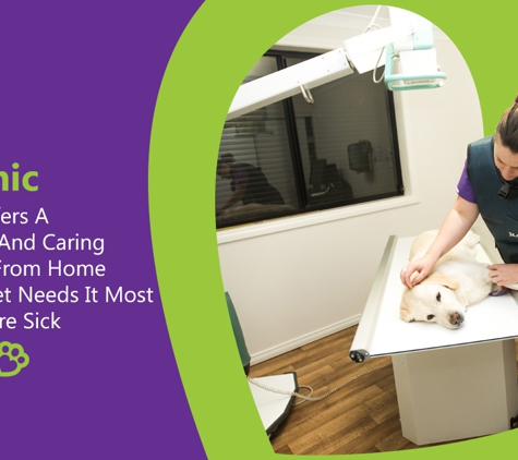 PetFocus Vetcare - Lavington, NSW. Our Clinic