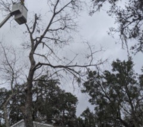 Charles Duff Tree Service. Bucket truck tree service taking down a dead tree