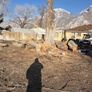 FILI Tree Expert & Landscaping - Tree Service