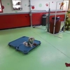 The Woof Lodge gallery