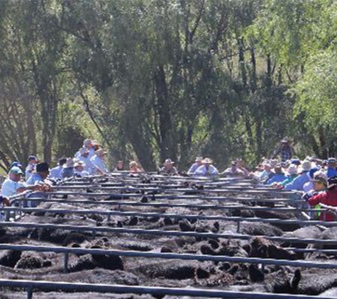 Monaro Livestock & Property Pty Ltd