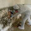 Duraforce Cleaning service Inc gallery