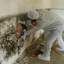 Duraforce Cleaning service Inc - Janitorial Service