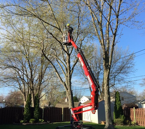 Al’s Tree service - Buffalo, NY