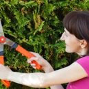 Cabot Outdoors - Lawn Mowers-Sharpening & Repairing