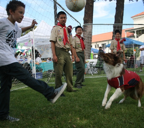 Soccer Dogs - Ocala, FL