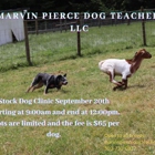 Marvin Pierce Dog Teacher