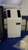 Aerus Electrolux Sunbury - Carpet & Rug Cleaning Equipment & Supplies