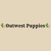 Outwest Puppies gallery