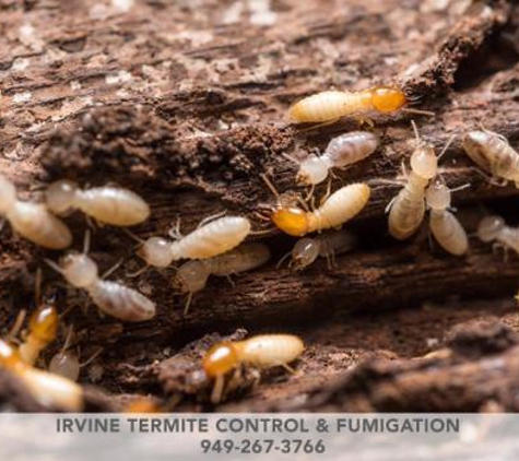 Irvine Termite Control & Fumigation - Irvine, CA