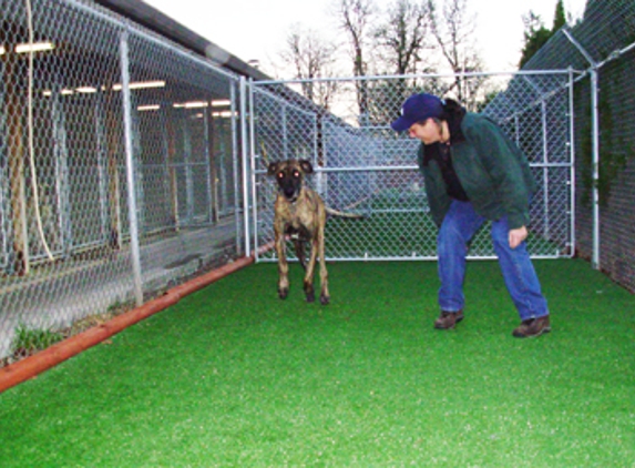 Rock Creek Kennels - Hillsboro, OR