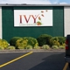 Ivy Linen Services