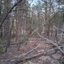4-E Outdoor Services - Arborists