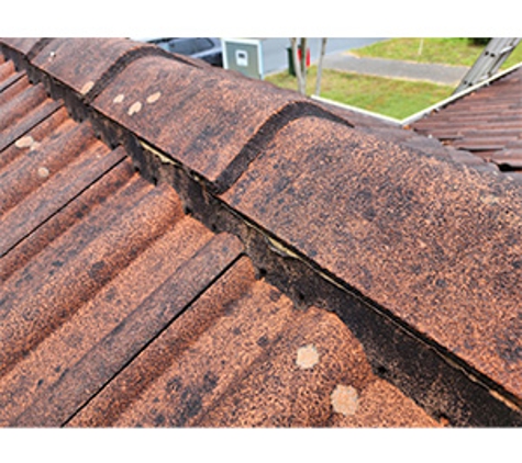 Able Roofing - Forest Lake, QLD
