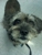 Tanglewilde Veterinary Clinic - Veterinarians