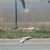 Republic Services Southeast Landfill gallery