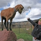 Aces at Rock Bottom Ranch