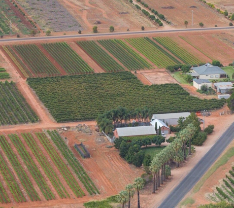 Merbein Vine Nursery - Birdwoodton, VIC