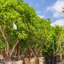 Moon Valley Nurseries