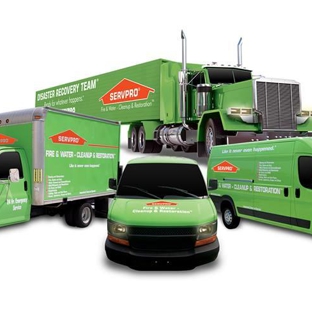 SERVPRO of Sugar Land - Sugar Land, TX