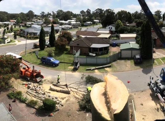 Newcastle Tree Care - Warners Bay, NSW