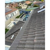 Gallery Image Number 4