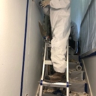 All-American Mold Remediation and Consulting