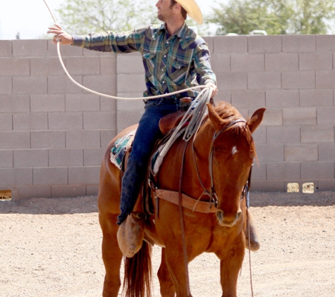 Desert Bloom Horse Training and Sales - San Tan Valley, AZ