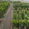Moon Valley Nurseries gallery