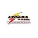 Anstandig Electric - Electrical Power Systems-Maintenance