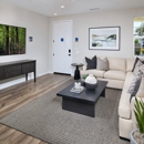 Citra + Pomelo @ Mission Trail by Risewell Homes