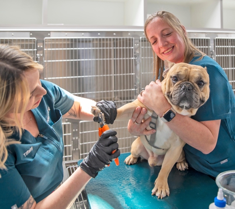 Livewell Animal Hospital of Huntersville - Huntersville, NC