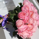 Pistils & Petals - Wholesale Florists