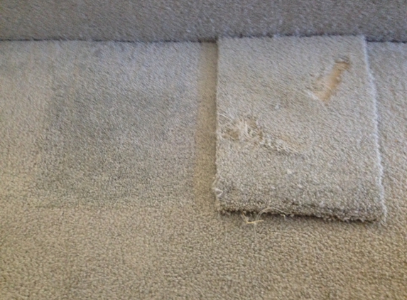 SteamLine carpet cleaning restoration - Richmond, VA
