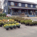 Blue Tree Garden Center