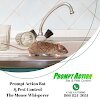 Prompt Action Pest Control gallery